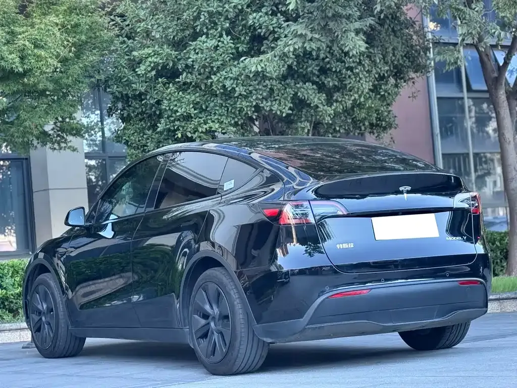Tesla Model Y — фото 8