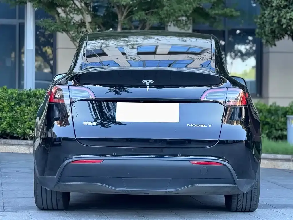 Tesla Model Y — фото 5