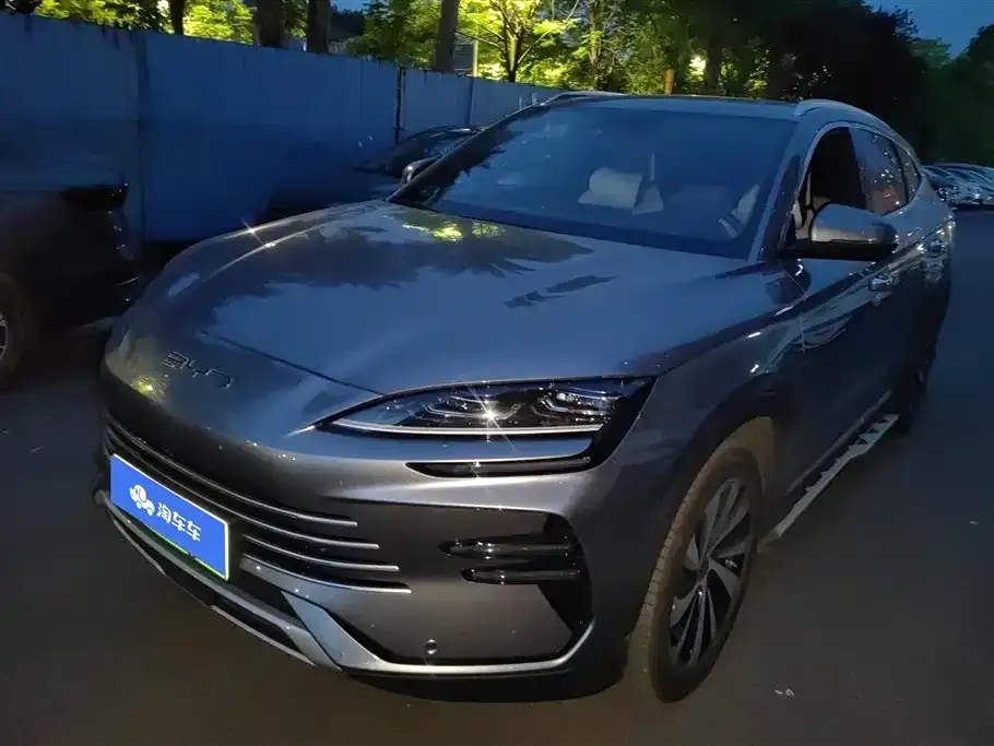 BYD PLUS New Energy 2024 из CN, фото 1