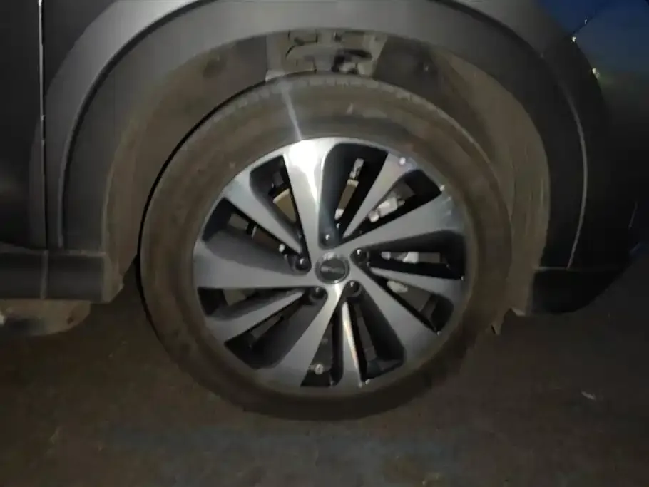 BYD PLUS New Energy 2024 из CN, фото 2