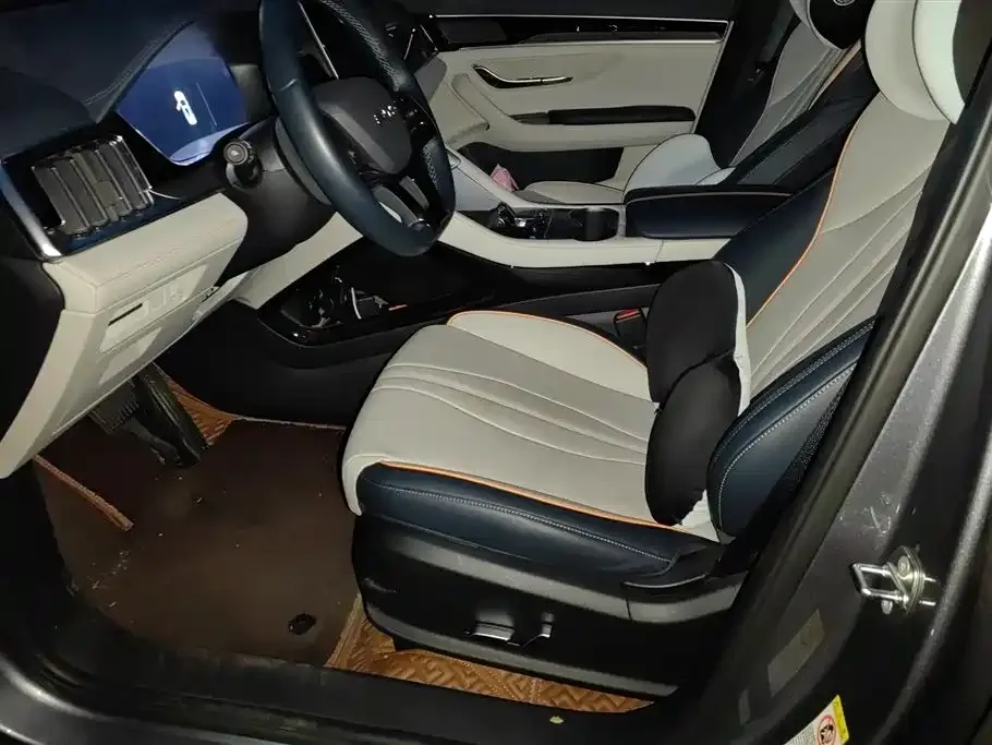 BYD PLUS New Energy 2024 из CN, фото 8