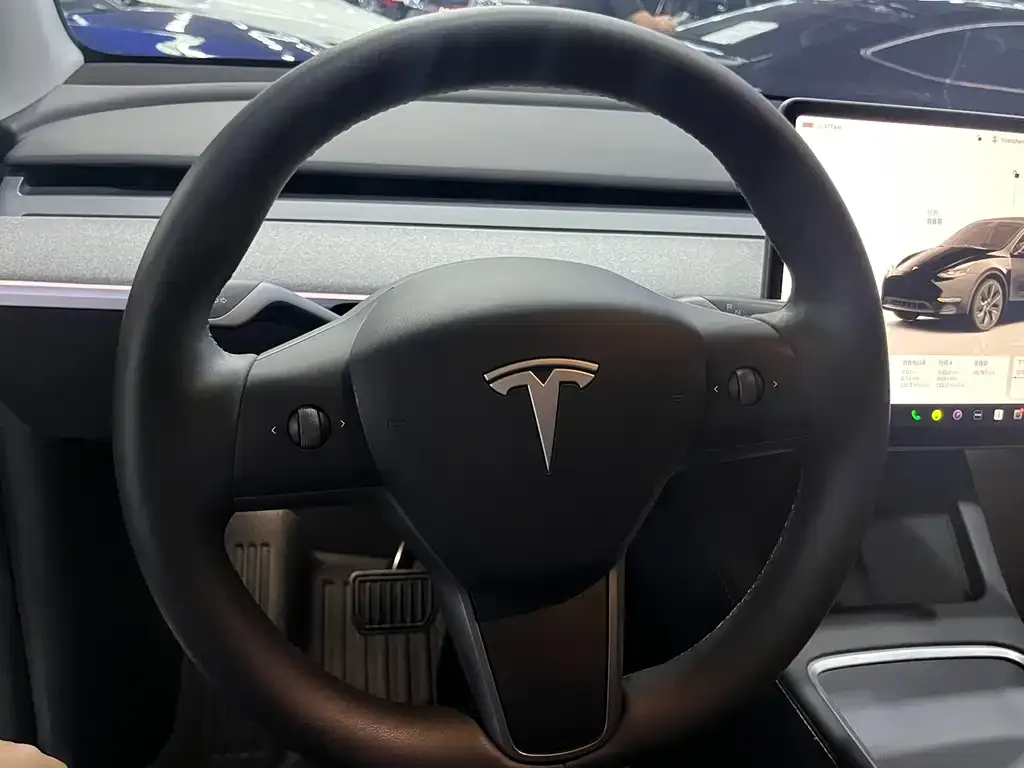 Tesla Model Y — фото 10