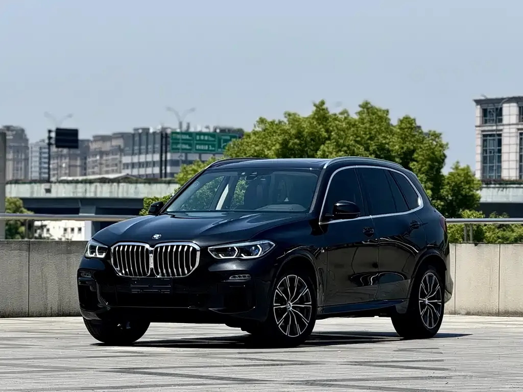 BMW X5 (Import) 2021 из CN, фото 1