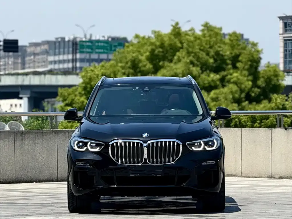 BMW X5 (Import) 2021 из CN, фото 4