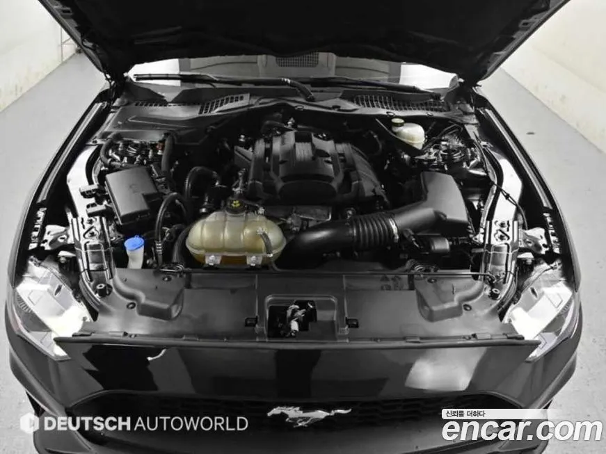 Ford Mustang 2022 из KR, фото 6