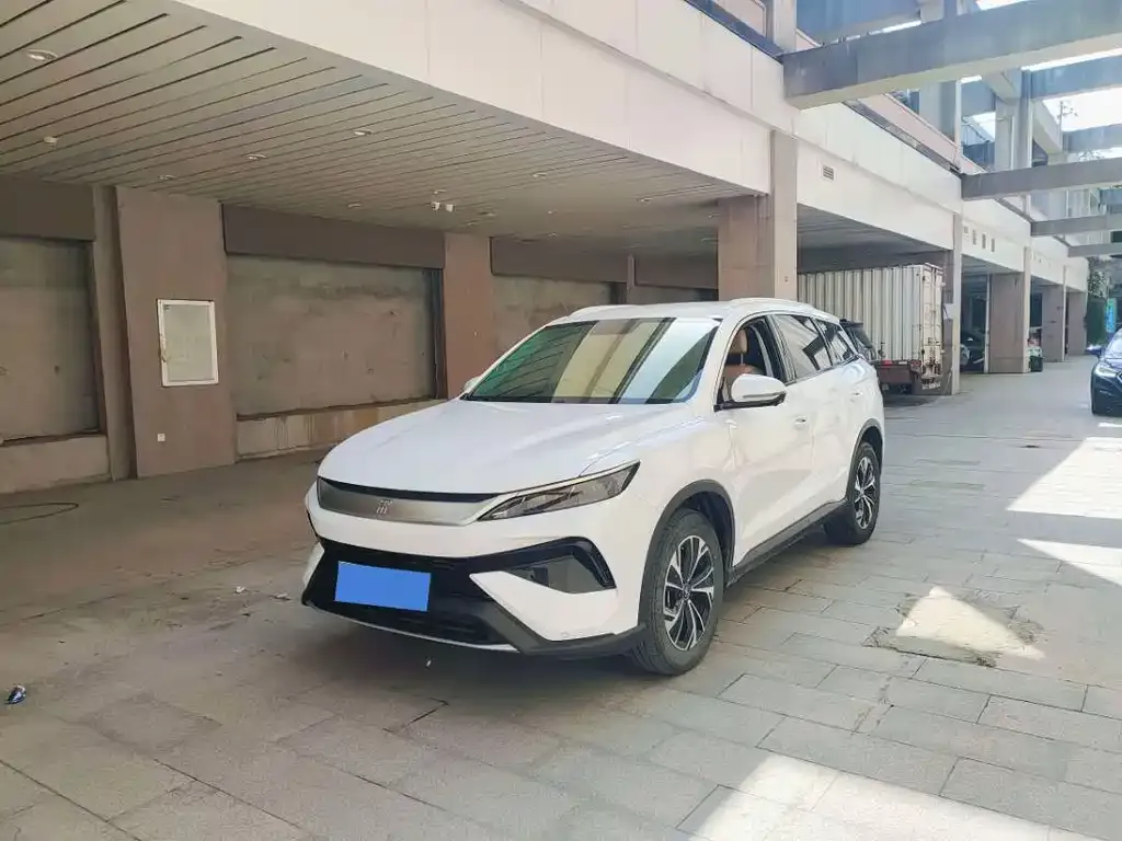 BYD Pro New Energy