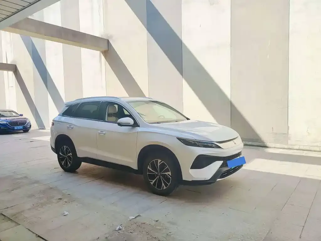 BYD Pro New Energy 2025 из CN, фото 4