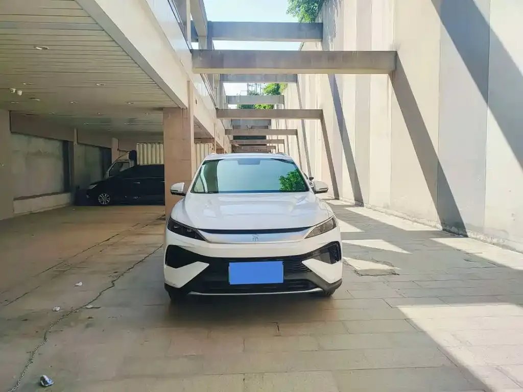 BYD Pro New Energy 2025 из CN, фото 2
