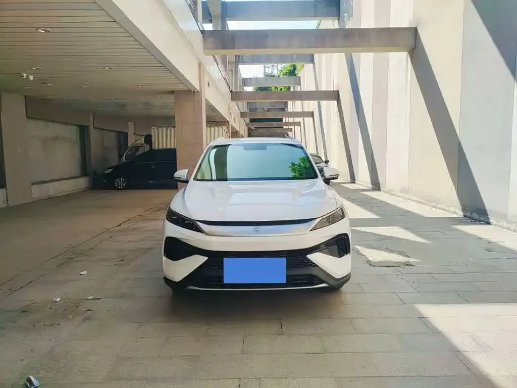 BYD Pro New Energy 2025 из CN, фото 5
