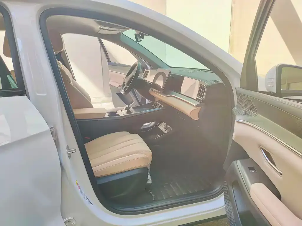 BYD Pro New Energy 2025 из CN, фото 6