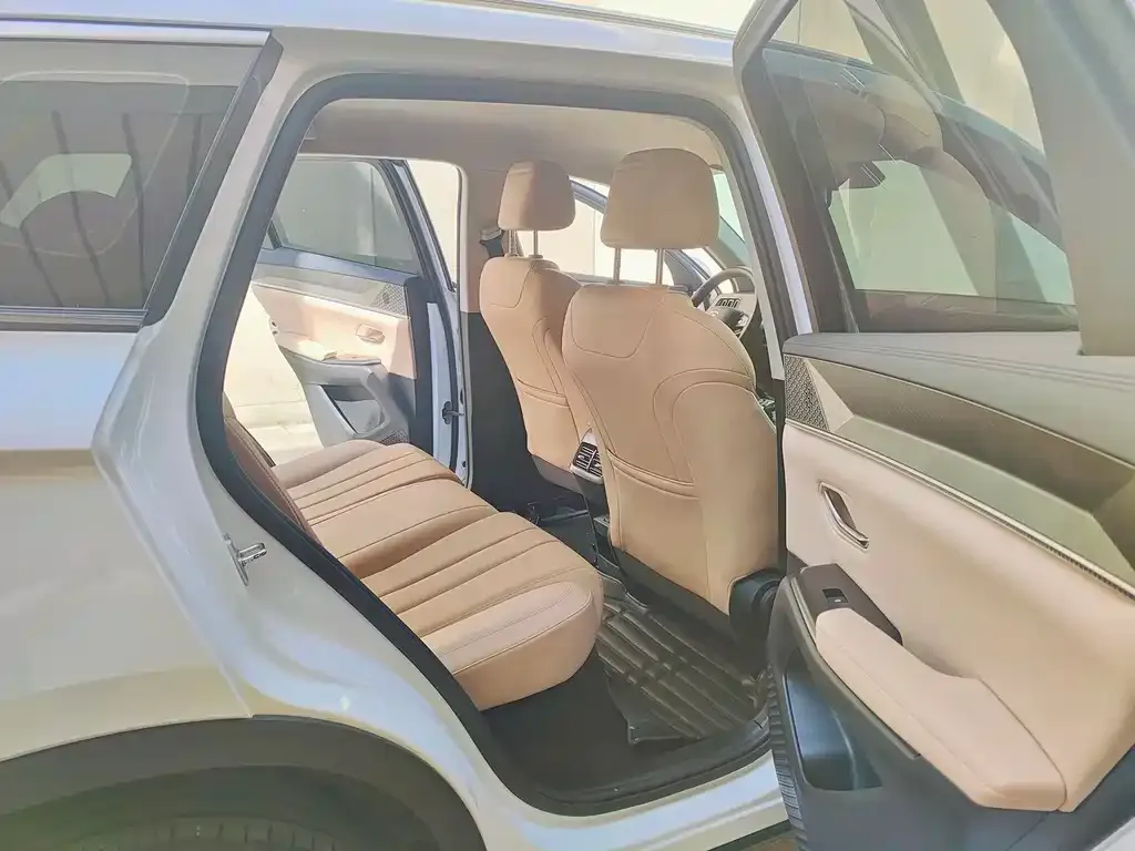 BYD Pro New Energy 2025 из CN, фото 3