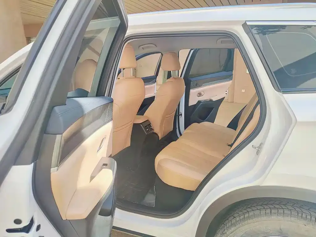 BYD Pro New Energy 2025 из CN, фото 8