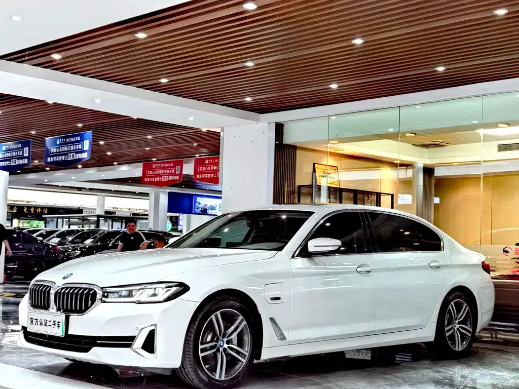 BMW 5 Series New Energy 2022 из CN, фото 1