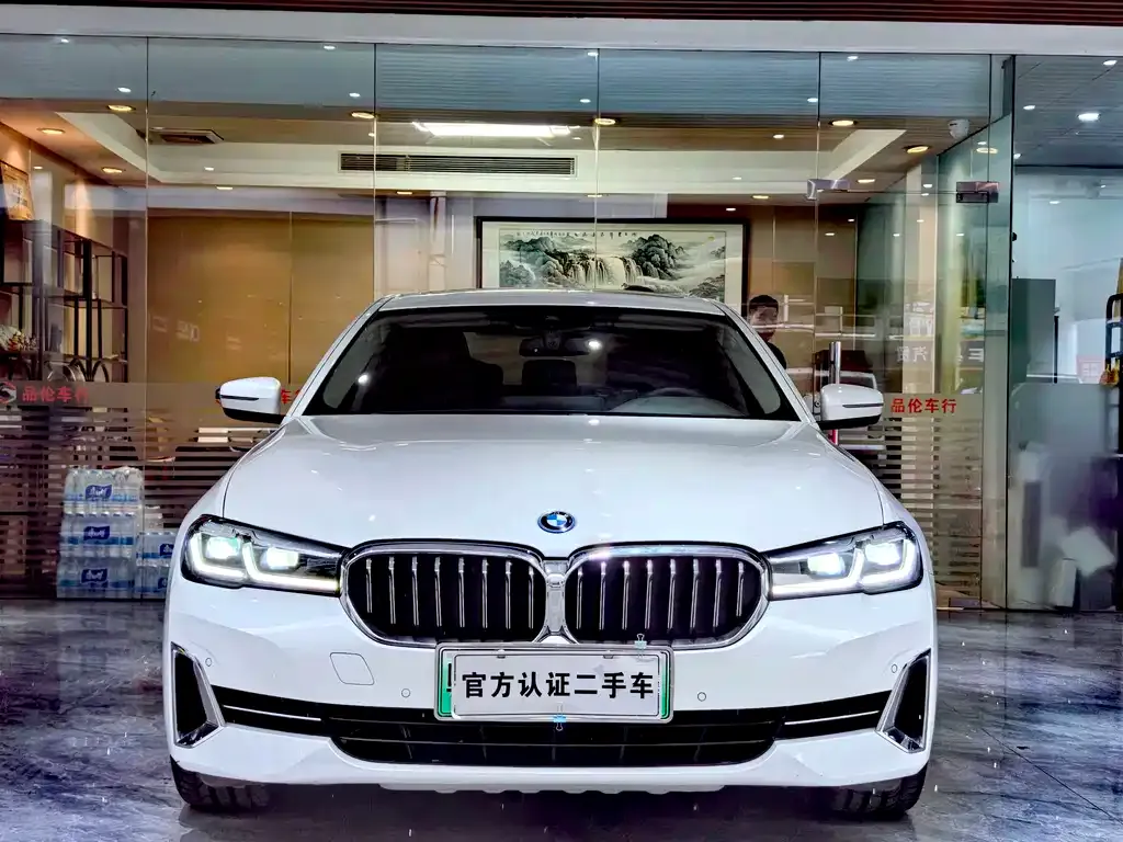 BMW 5 Series New Energy 2022 из CN, фото 3