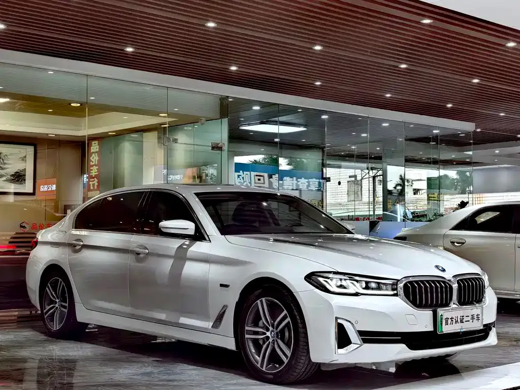 BMW 5 Series New Energy 2022 из CN, фото 4