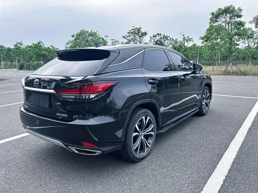 Lexus RX — фото 5