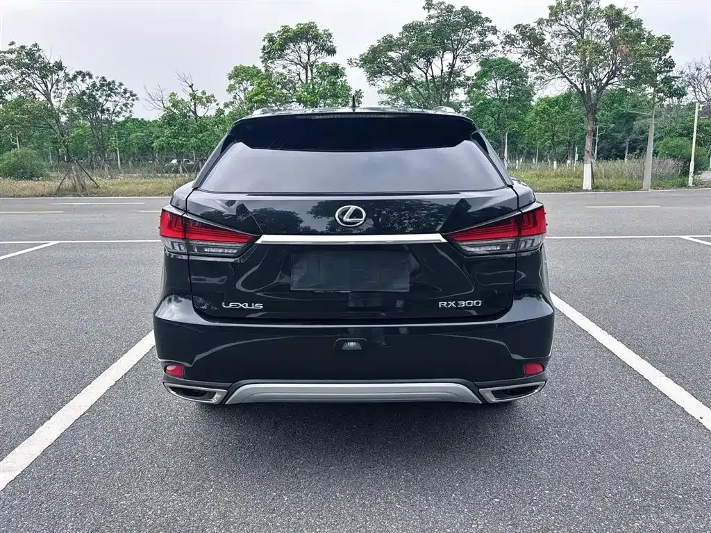 Lexus RX — фото 6