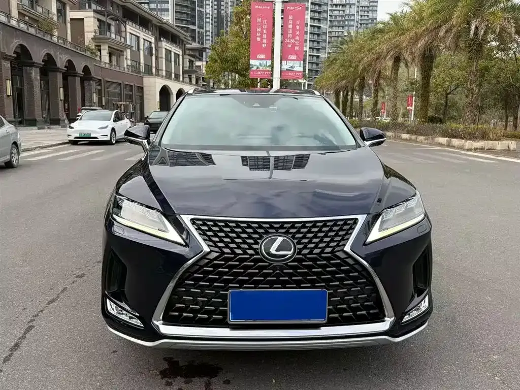 Lexus RX — фото 8