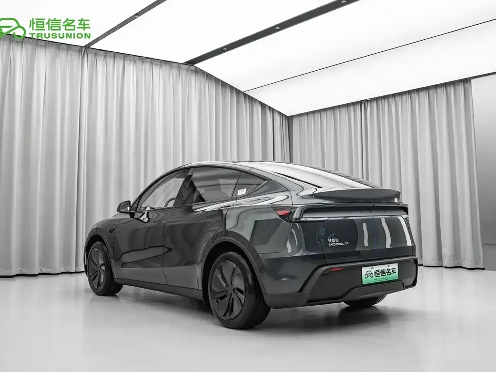 Tesla Model Y — фото 2