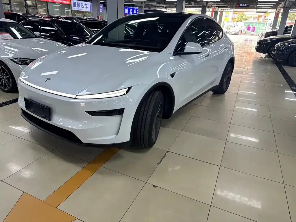 Tesla Model Y — фото 1