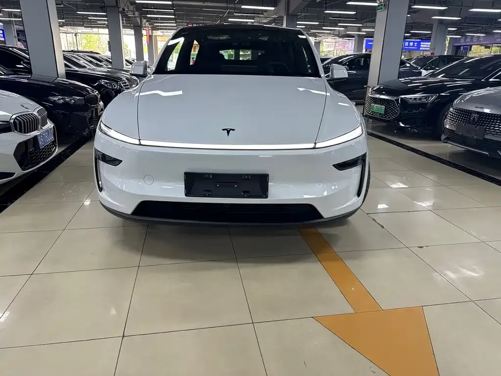 Tesla Model Y — фото 6