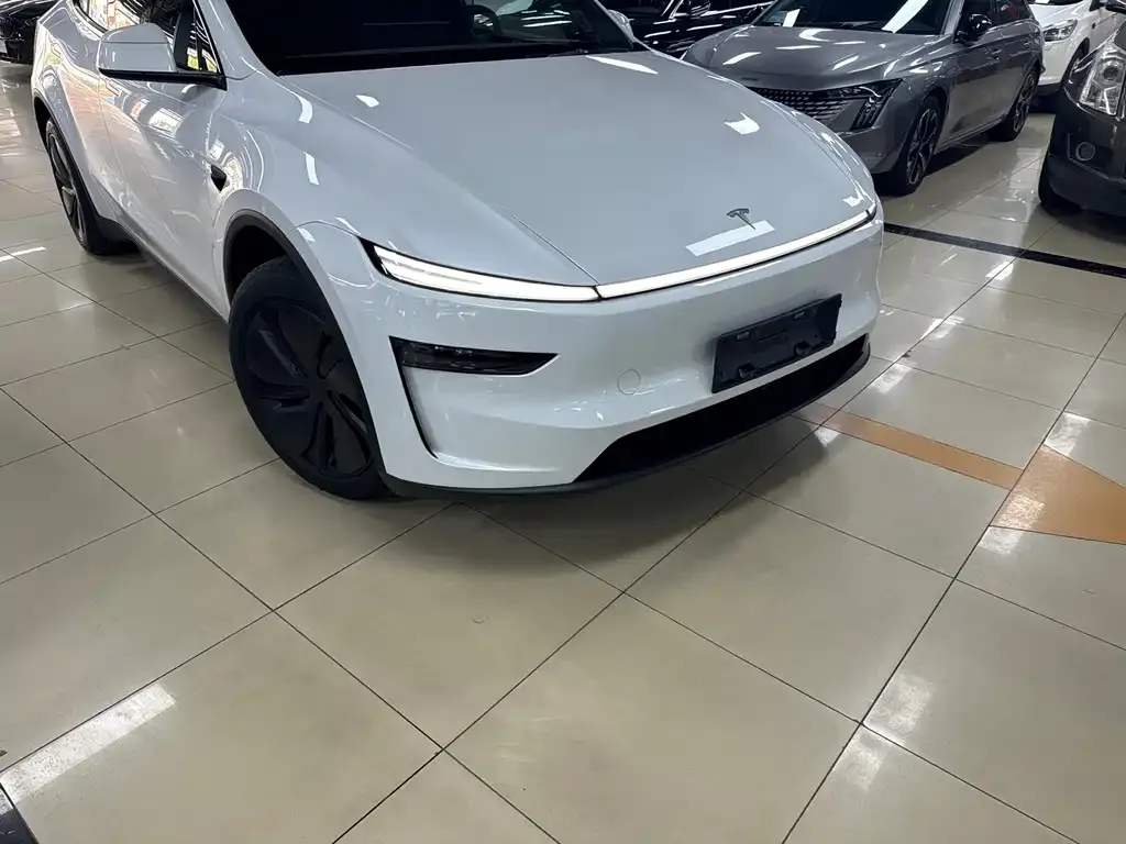 Tesla Model Y — фото 2