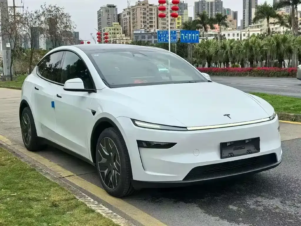 Tesla Model Y L 2025 из CN, фото 7