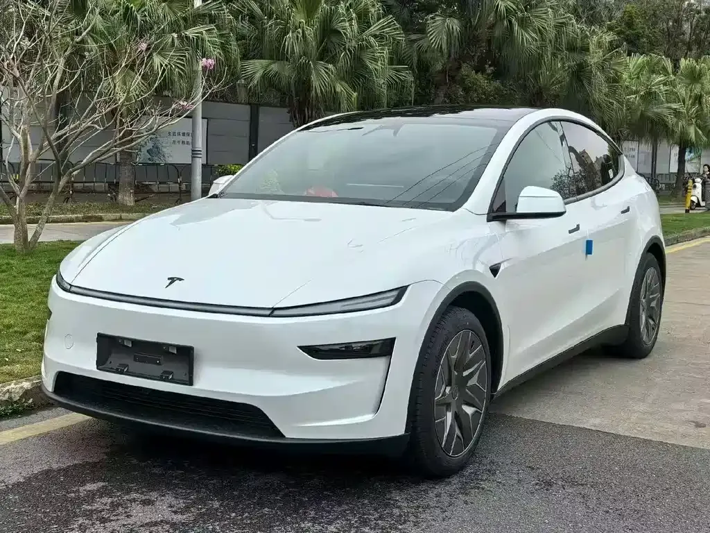 Tesla Model Y L 2025 из CN, фото 8