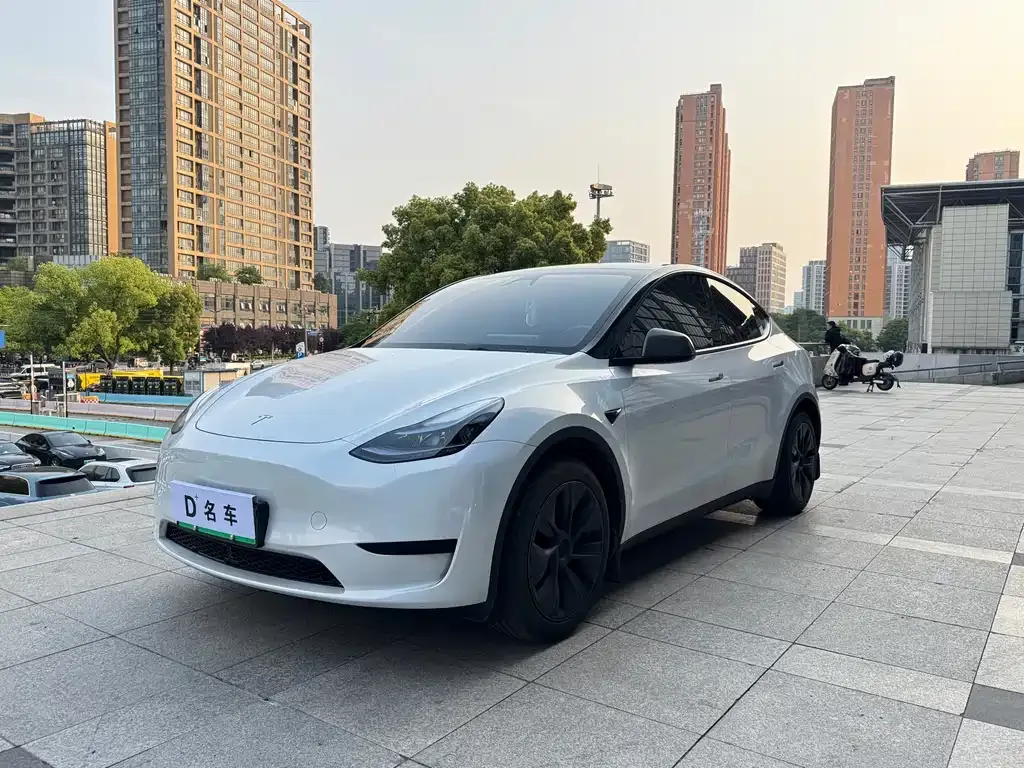 Tesla Model Y — фото 1
