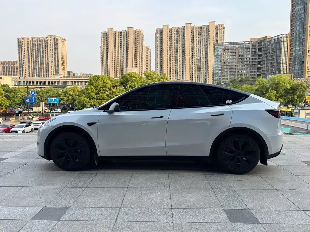 Tesla Model Y — фото 10