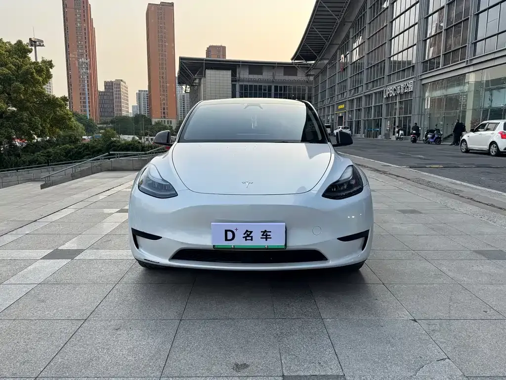 Tesla Model Y — фото 6