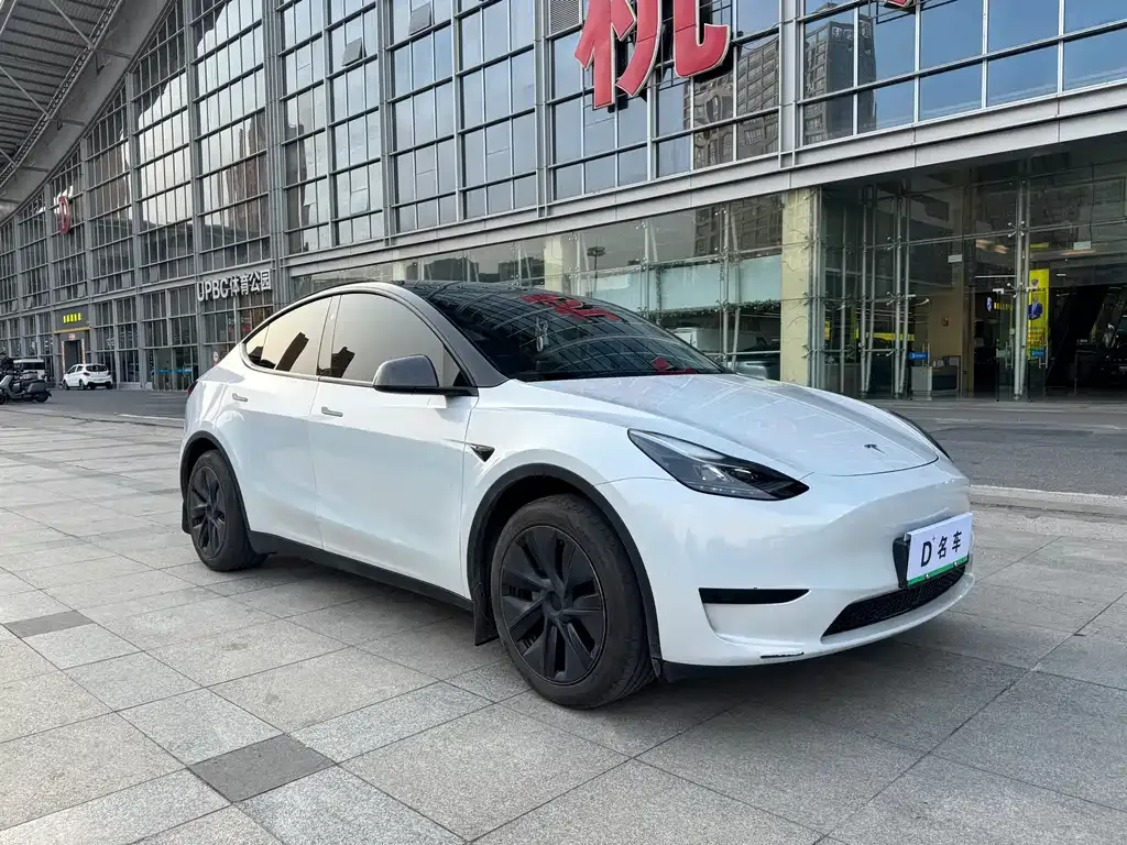 Tesla Model Y — фото 9