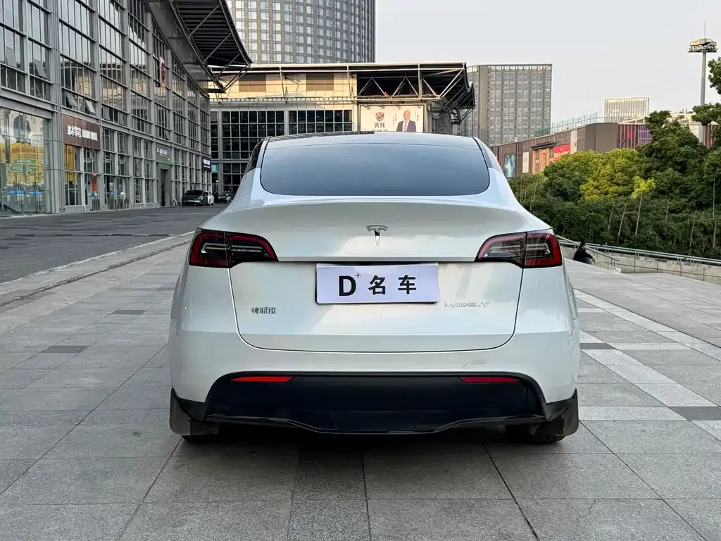 Tesla Model Y — фото 2