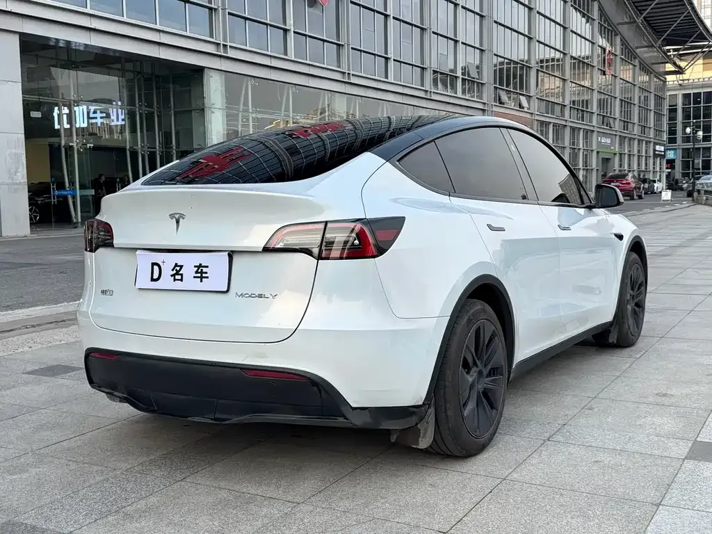 Tesla Model Y — фото 8