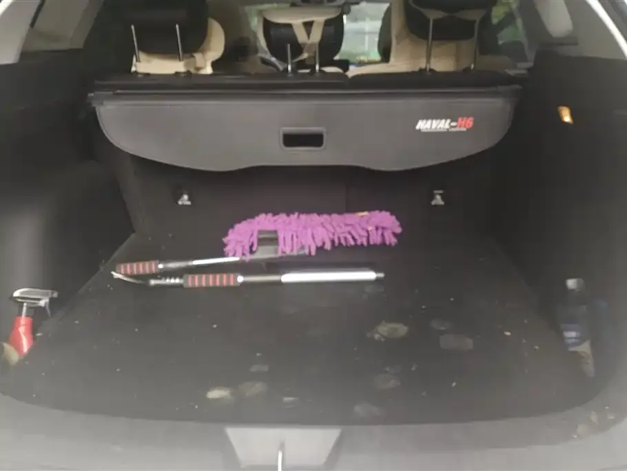 Haval H6 2022 из CN, фото 2