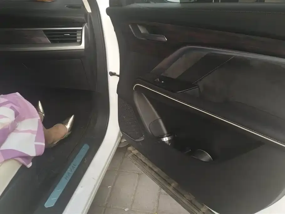 Haval H6 2022 из CN, фото 10