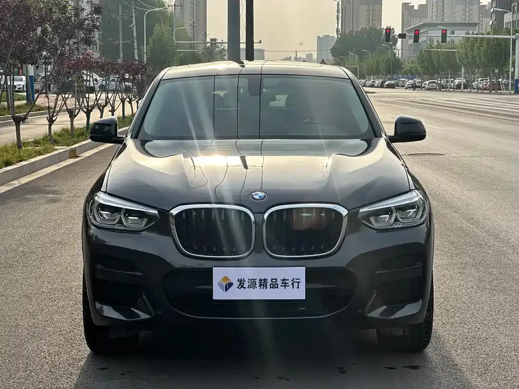 BMW X4 2021 из CN, фото 6