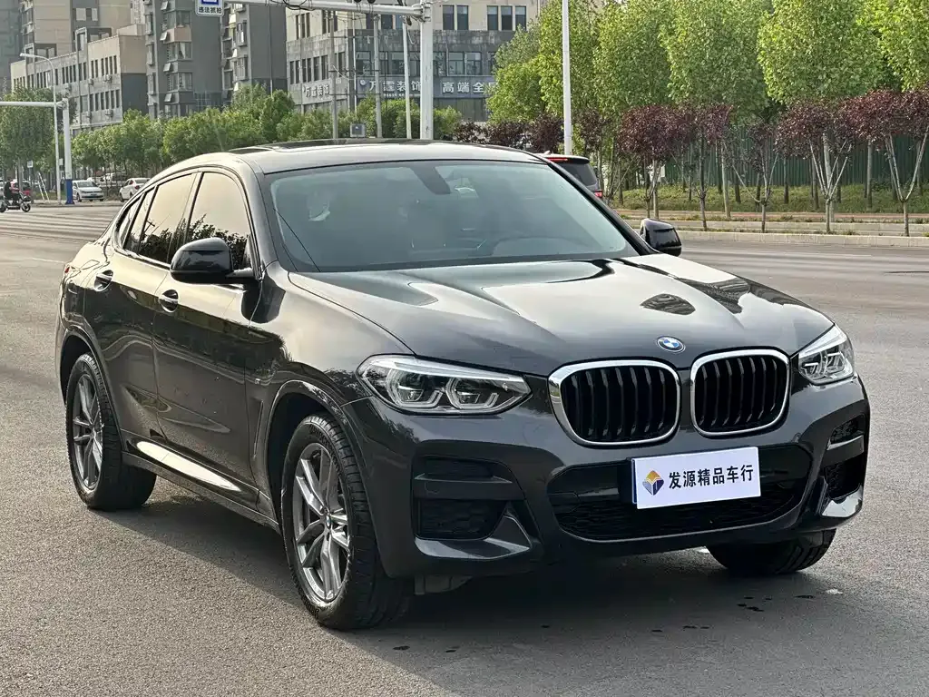 BMW X4 2021 из CN, фото 7