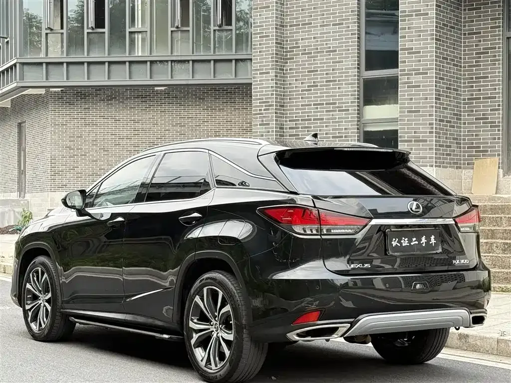Lexus RX 2021 из CN, фото 8