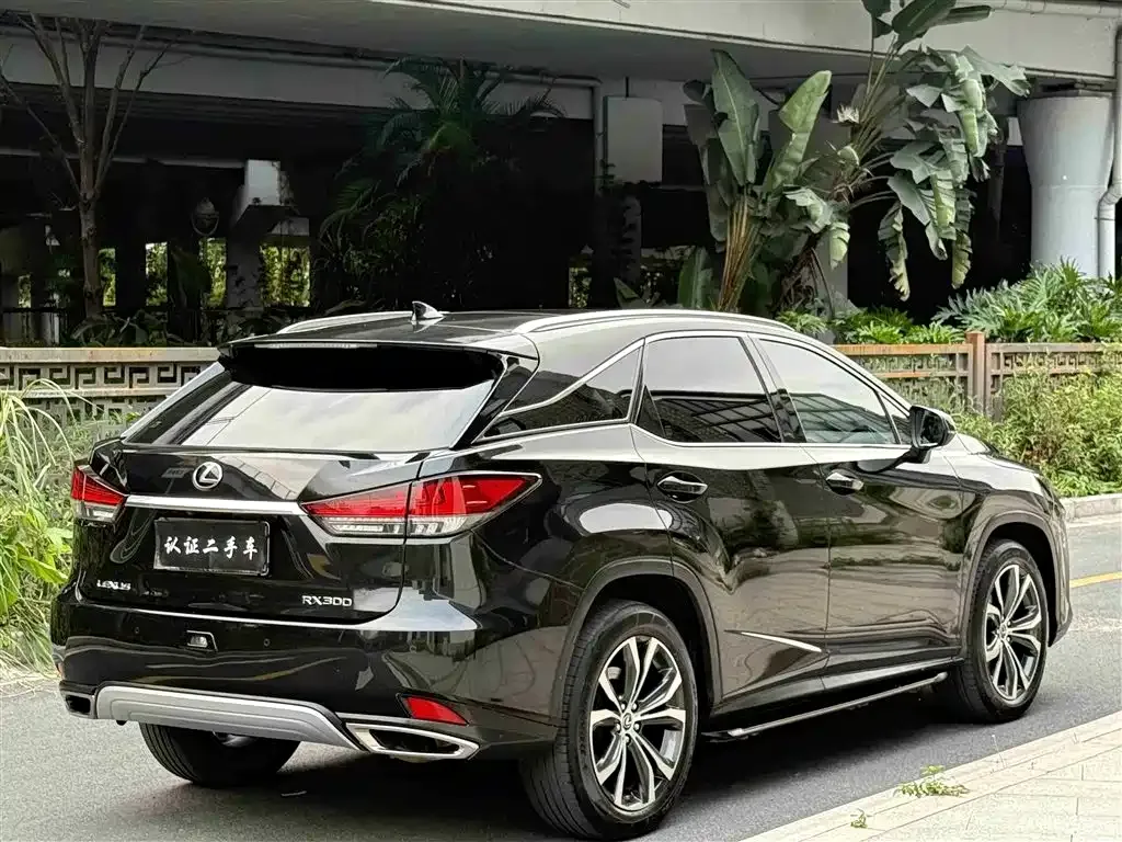 Lexus RX 2021 из CN, фото 5
