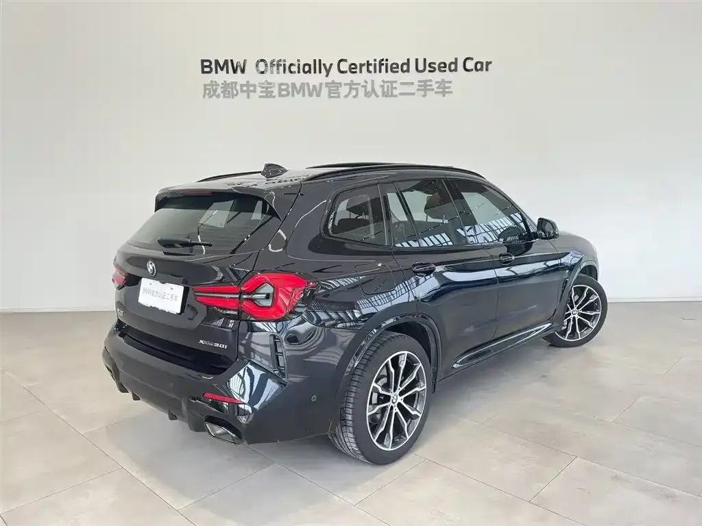 BMW X3 2024 из CN, фото 6