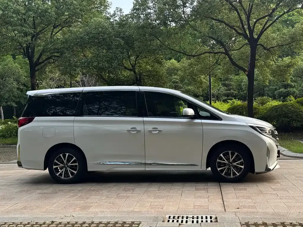 GAC Motor Trumpchi M8 2023 из CN, фото 8