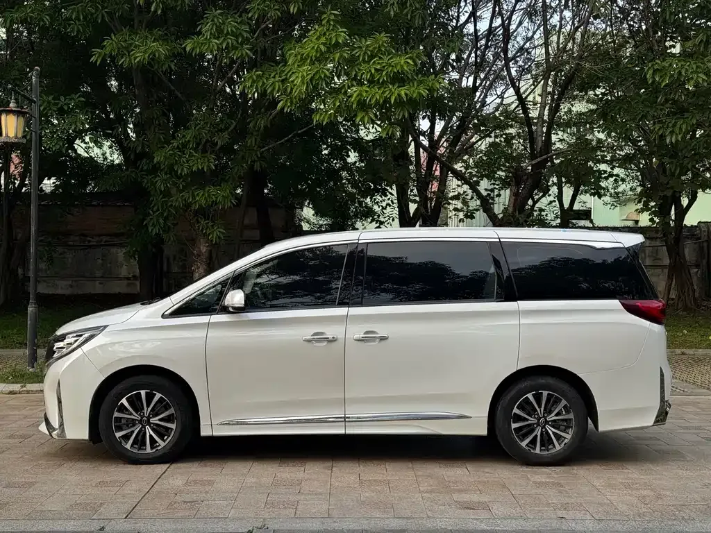 GAC Motor Trumpchi M8 2023 из CN, фото 6