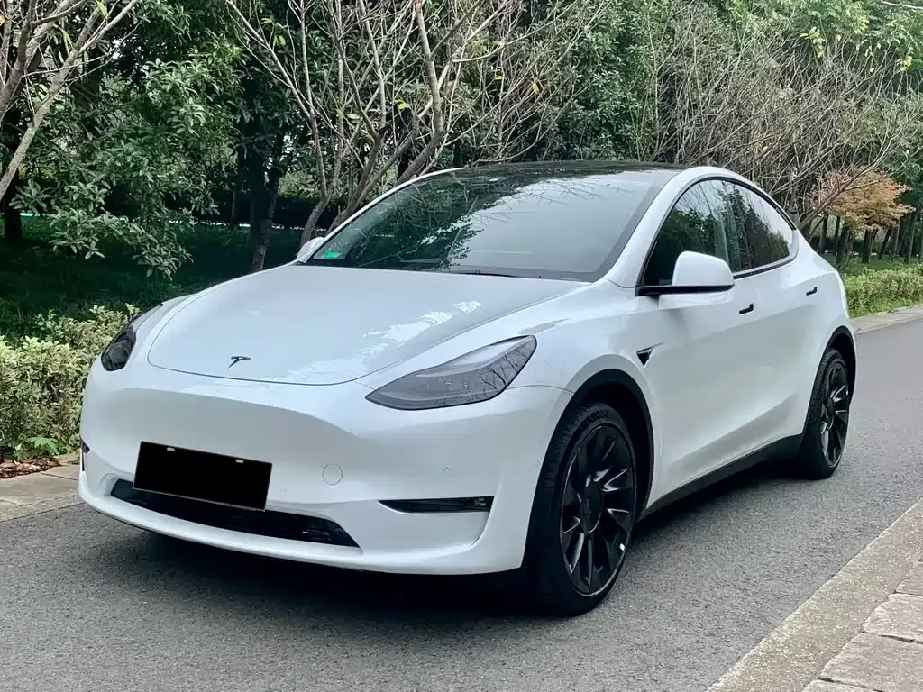 Tesla Model Y — фото 1