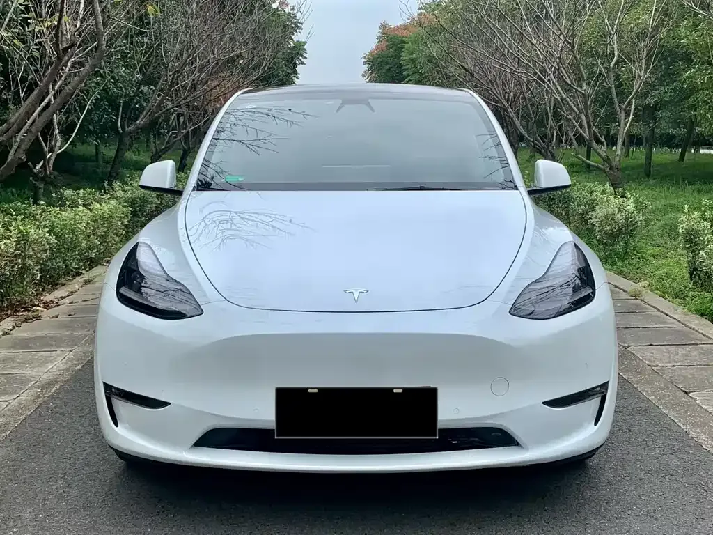 Tesla Model Y — фото 5