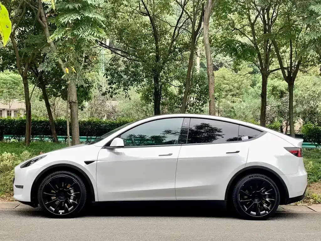 Tesla Model Y — фото 9