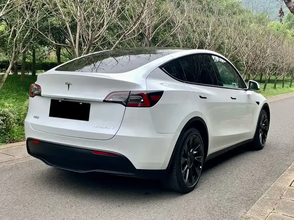 Tesla Model Y — фото 8