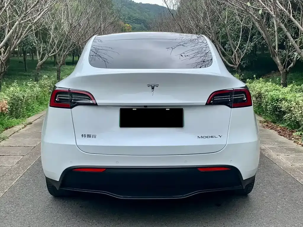 Tesla Model Y — фото 6