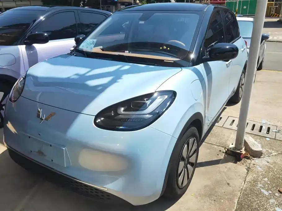 Wuling Bingo