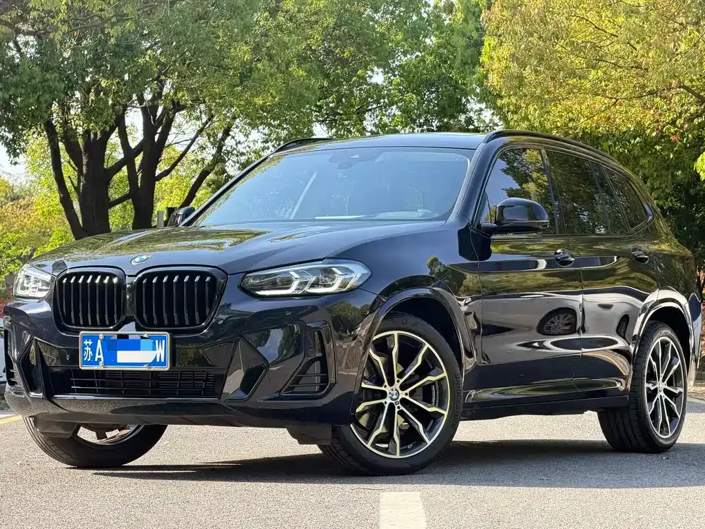 BMW X3 — фото 1